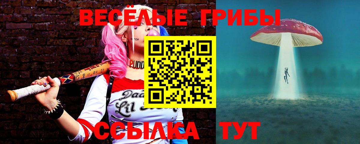 Томск  закладка  Вход с VPN  Псилоцибиновые грибы прущие грибы 